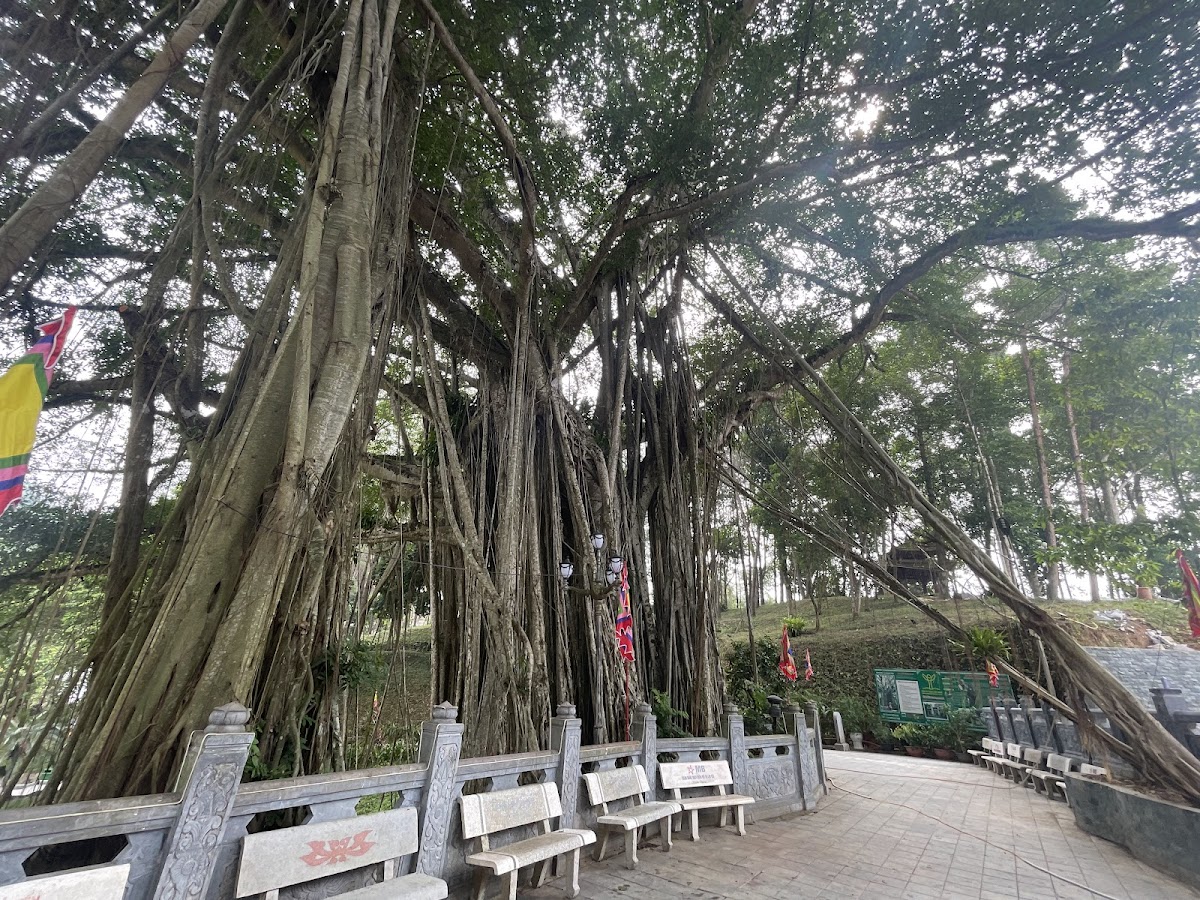 Lao Cai Upper Temple