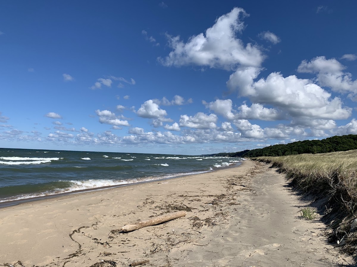 Saugatuck Dunes State Park