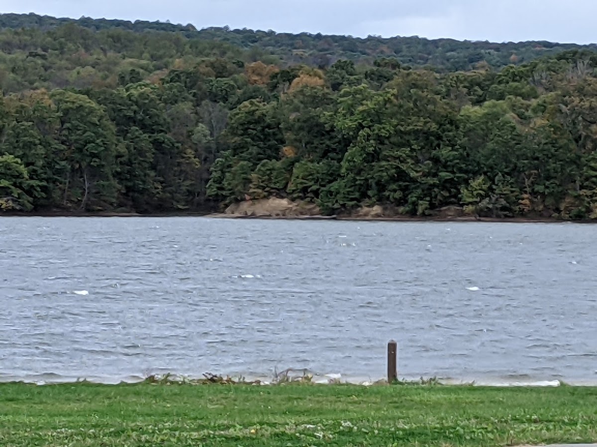 Yellow Creek State Park