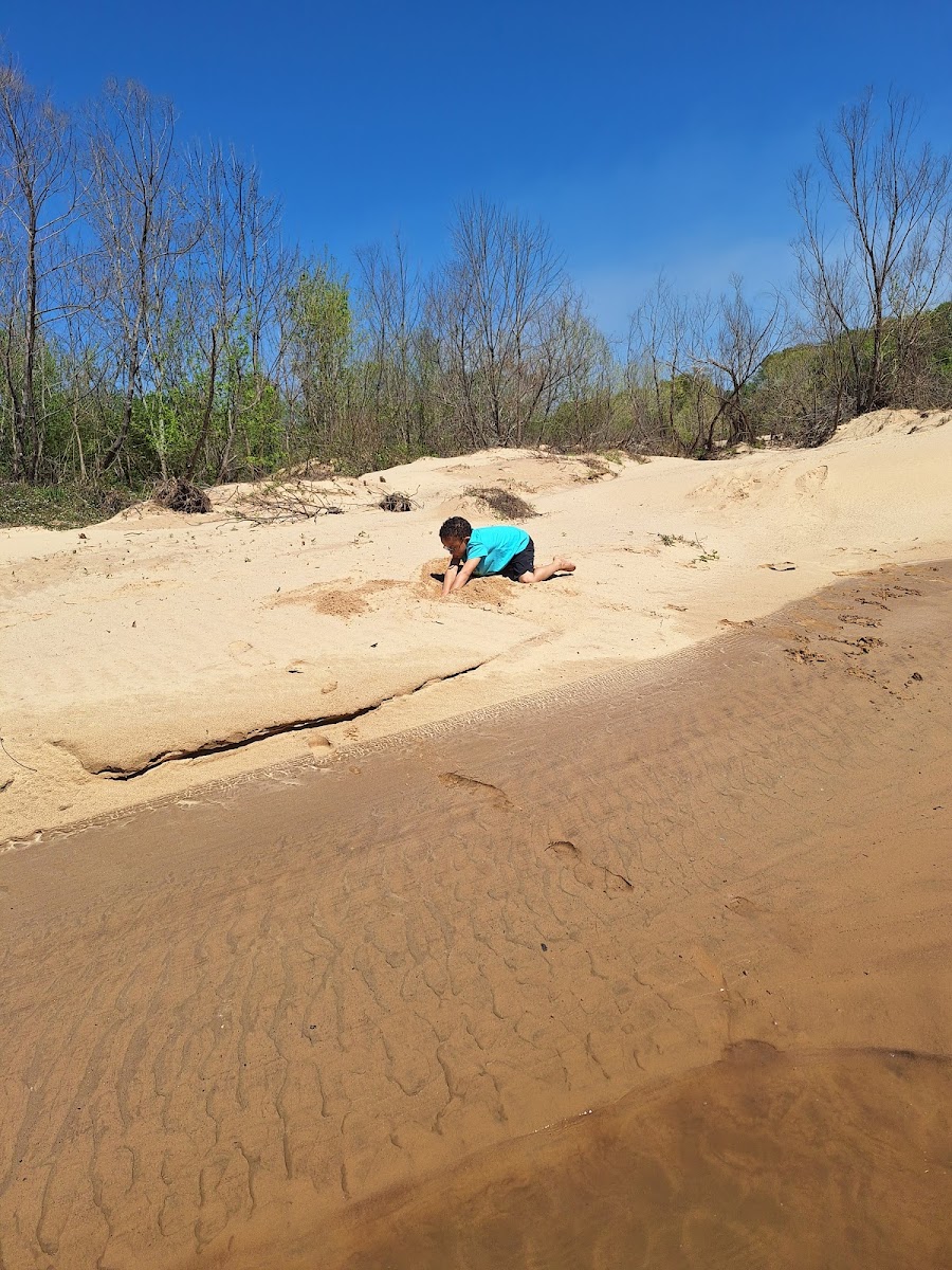 Barton's Beach on the Cahaba