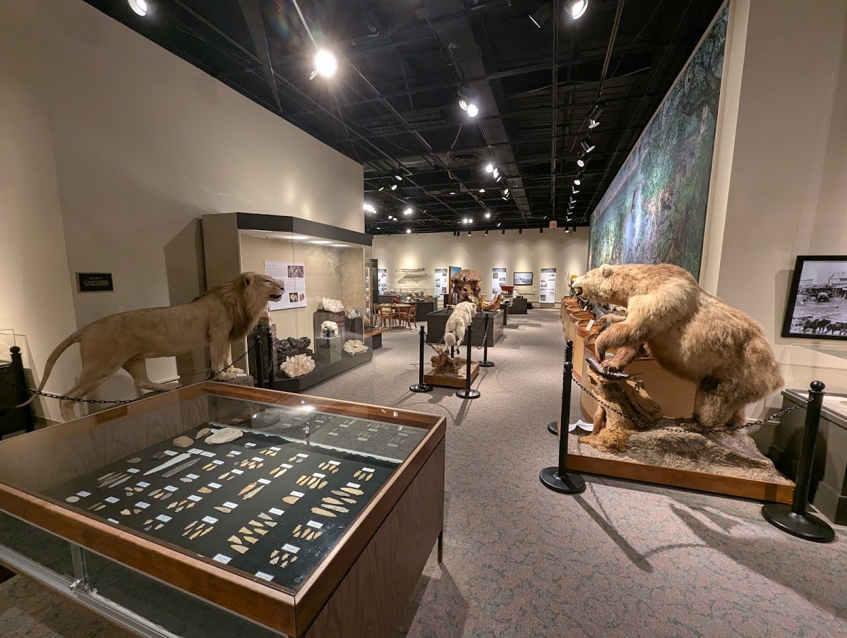 Brazos Valley Museum of Natural History