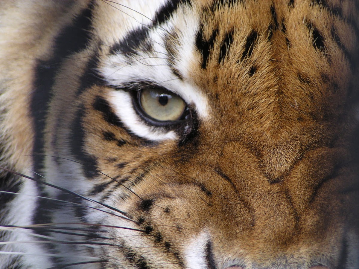 BREC's Baton Rouge Zoo