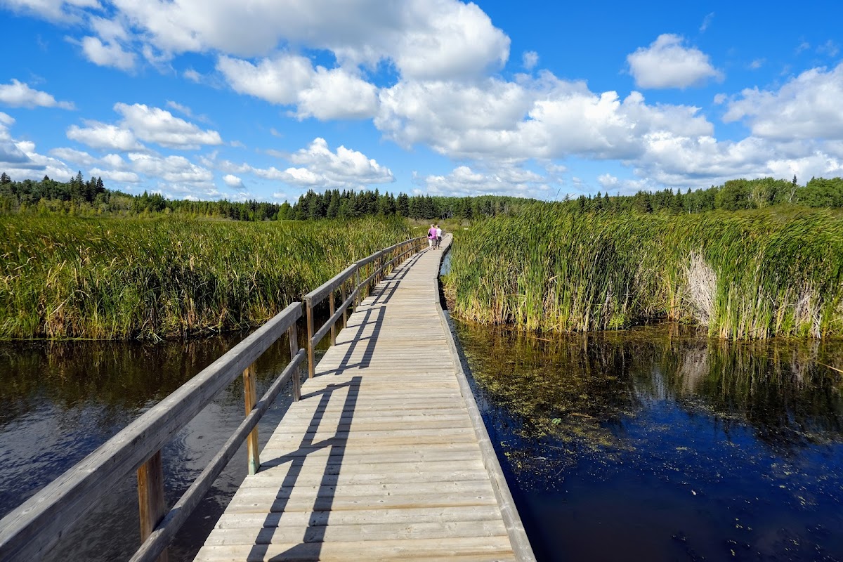 Ominnik Marsh Trail