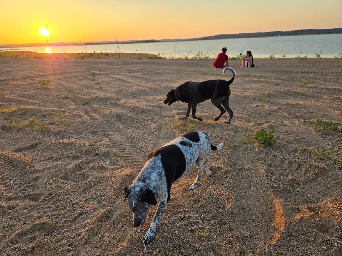 Oasis Lake Buchanan photo 3