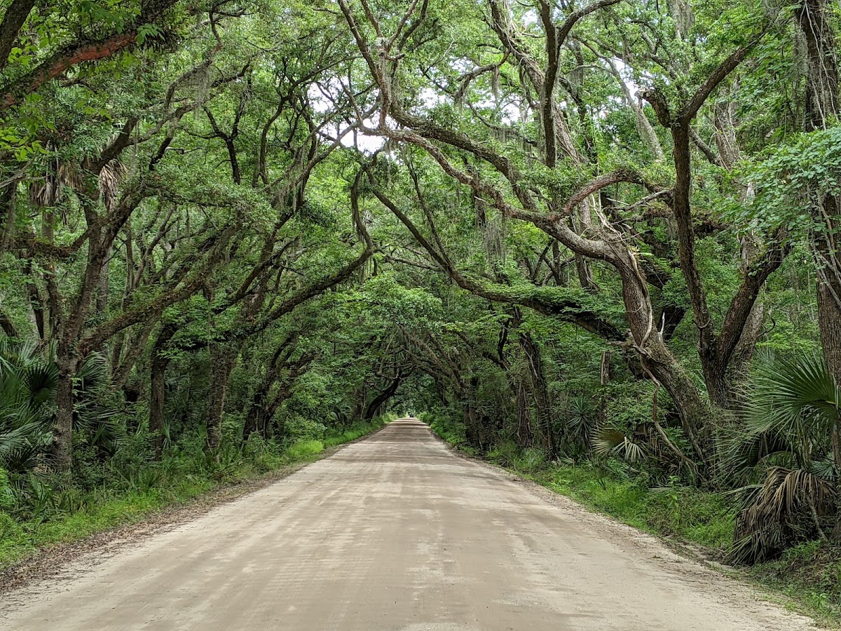 Botany Bay Heritage Preserve/Wildlife Management Area