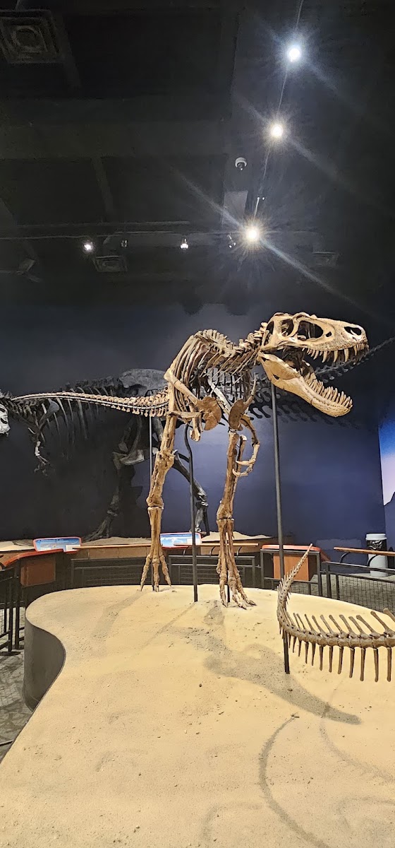 Burpee Museum of Natural History