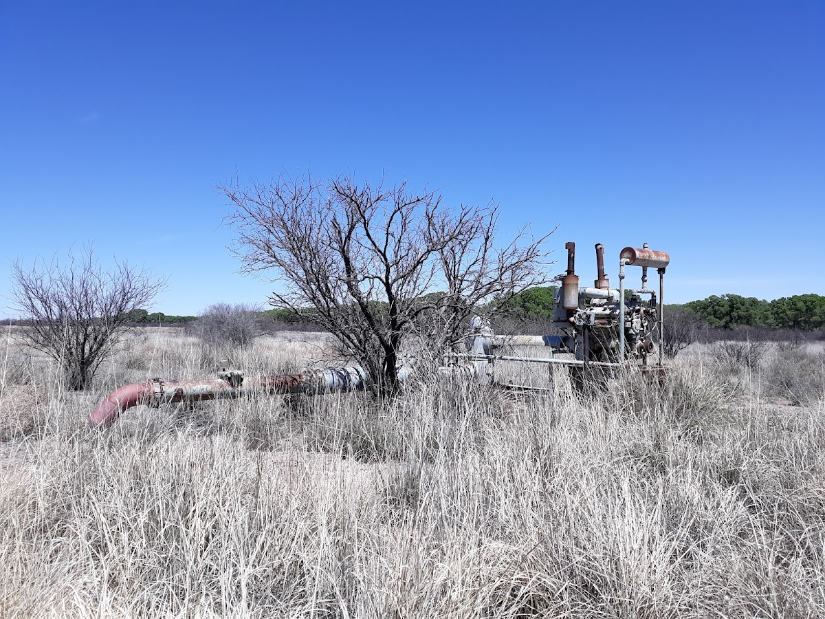 Bureau of Land Management San Pedro Riparian National Conservation Area Administrative Office