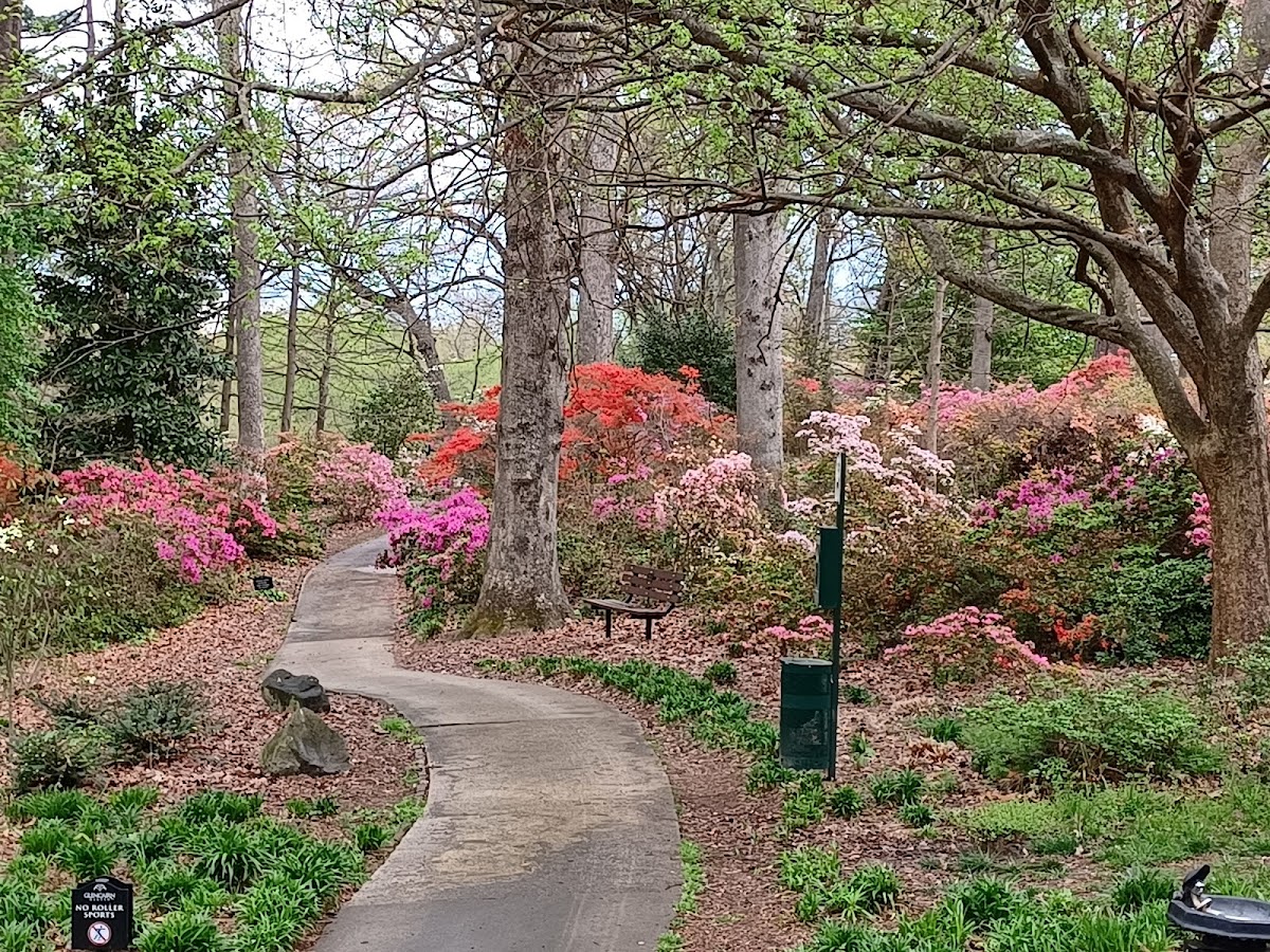 Glencairn Garden
