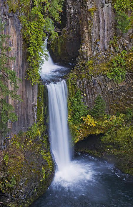 Umpqua National Forest