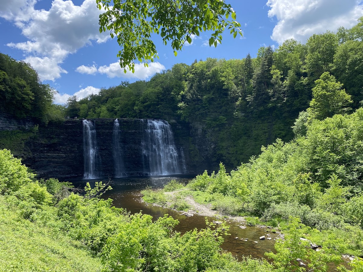 Salmon River Falls