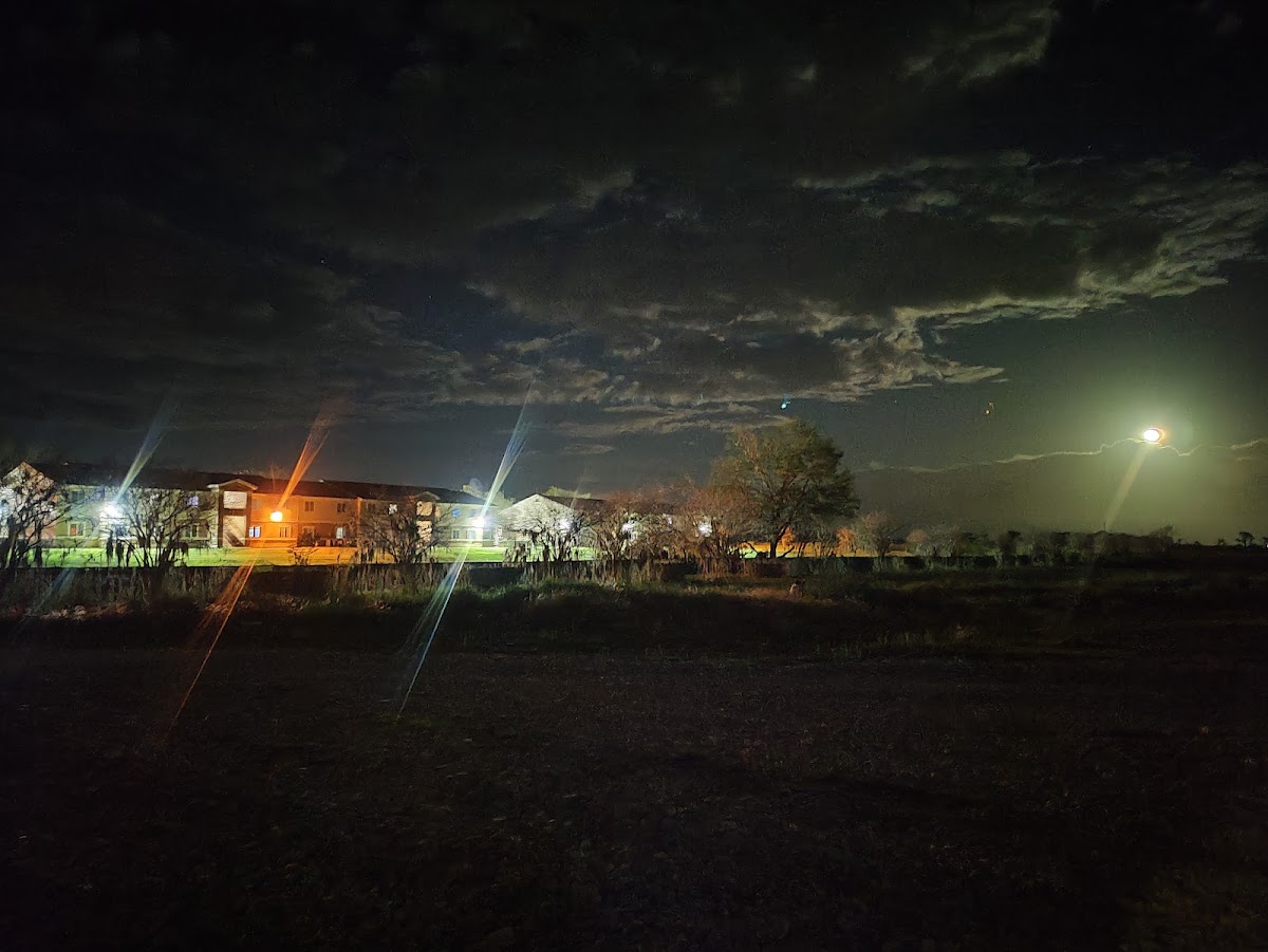 Colonial Arms Motel photo 3