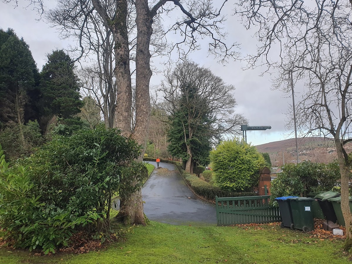 Maplehurst Boutique Guest House photo 3