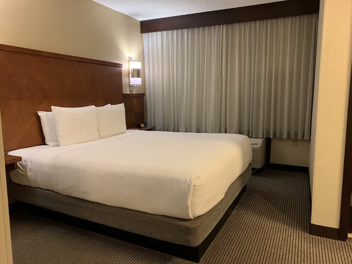 Hyatt Place Dallas / Las Colinas photo 3