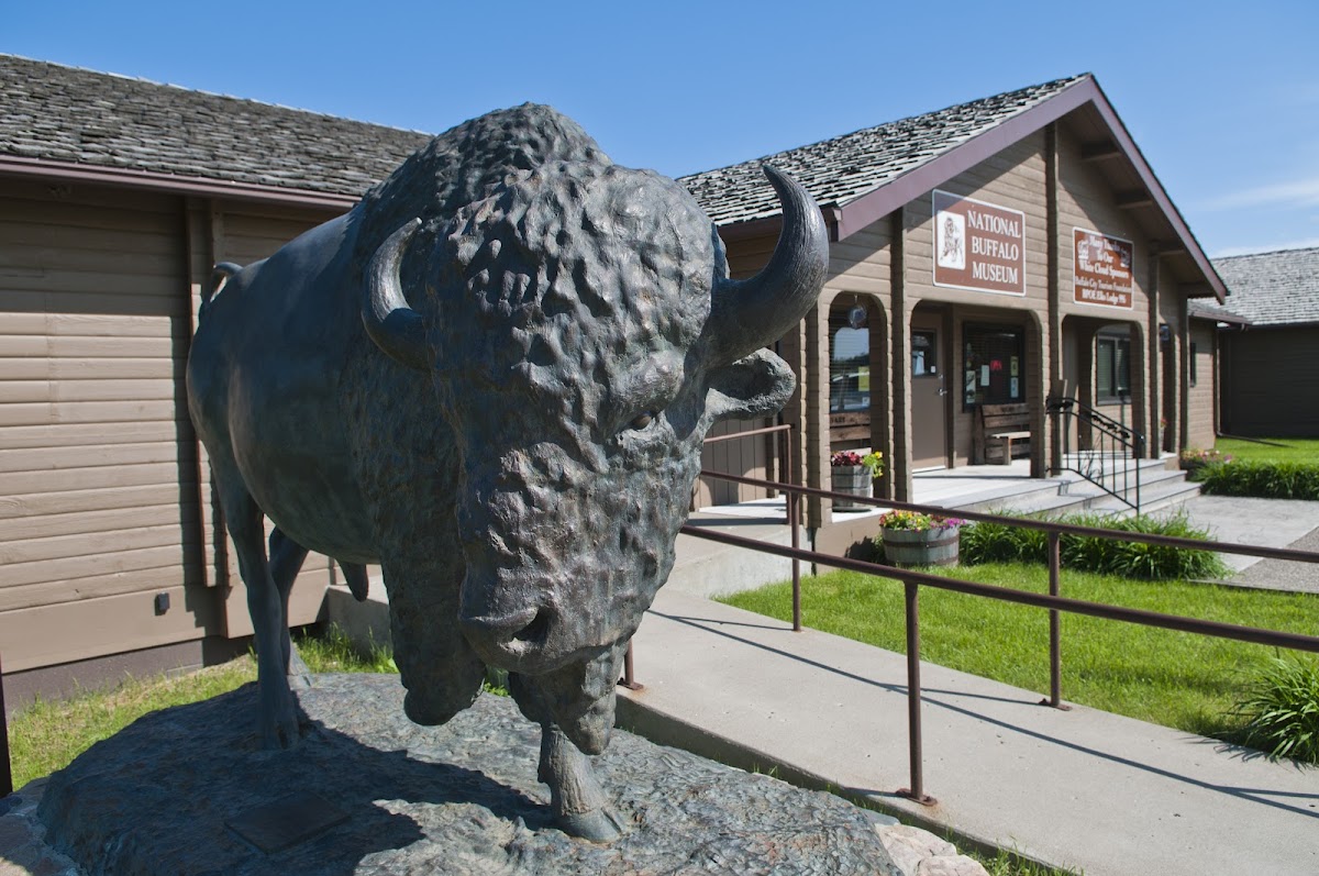 North American Bison Discovery Center