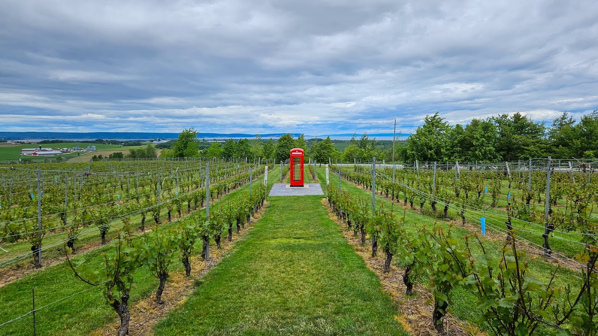 Luckett Vineyards