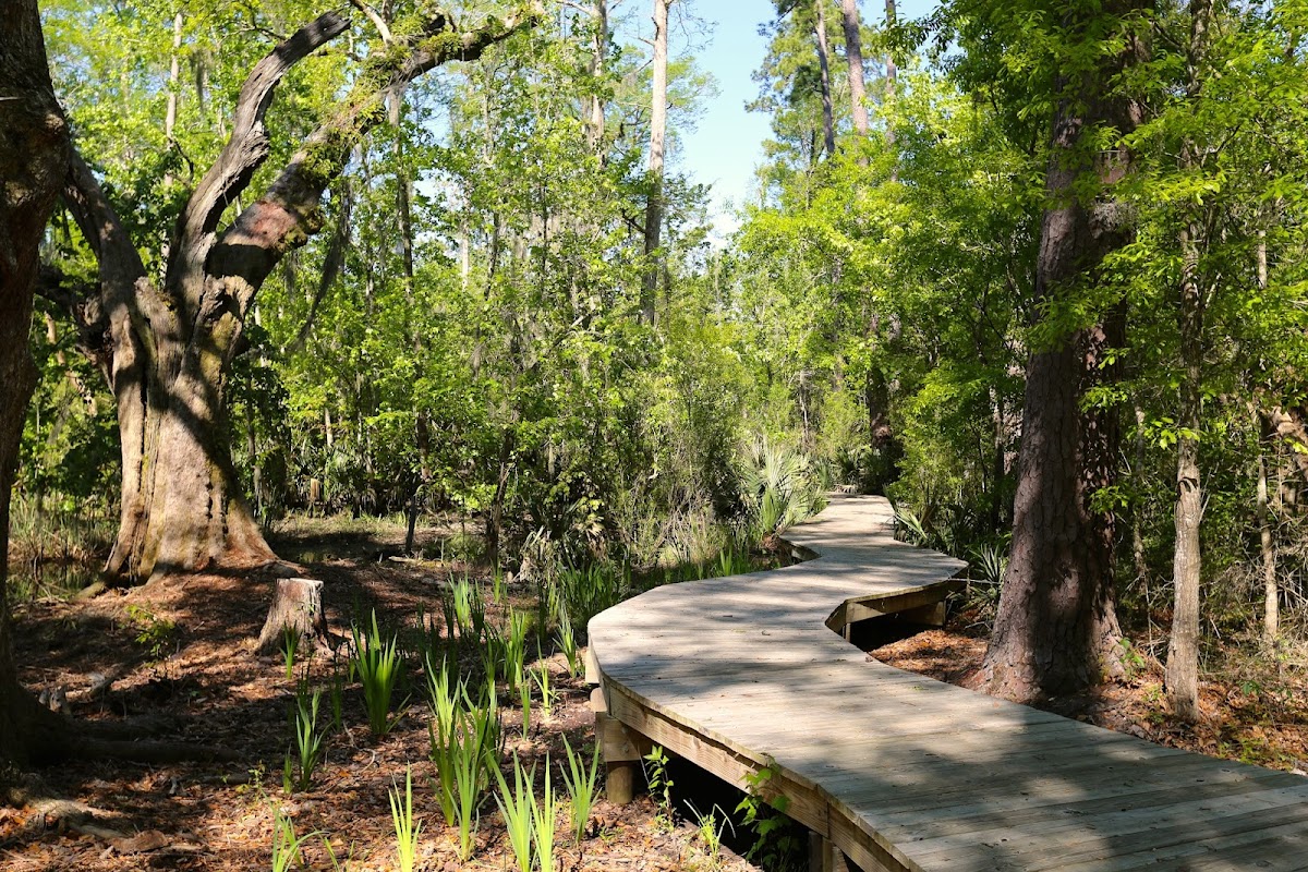 Camp Salmen Nature Park