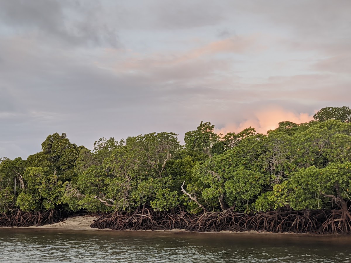Watamu Marine National Park