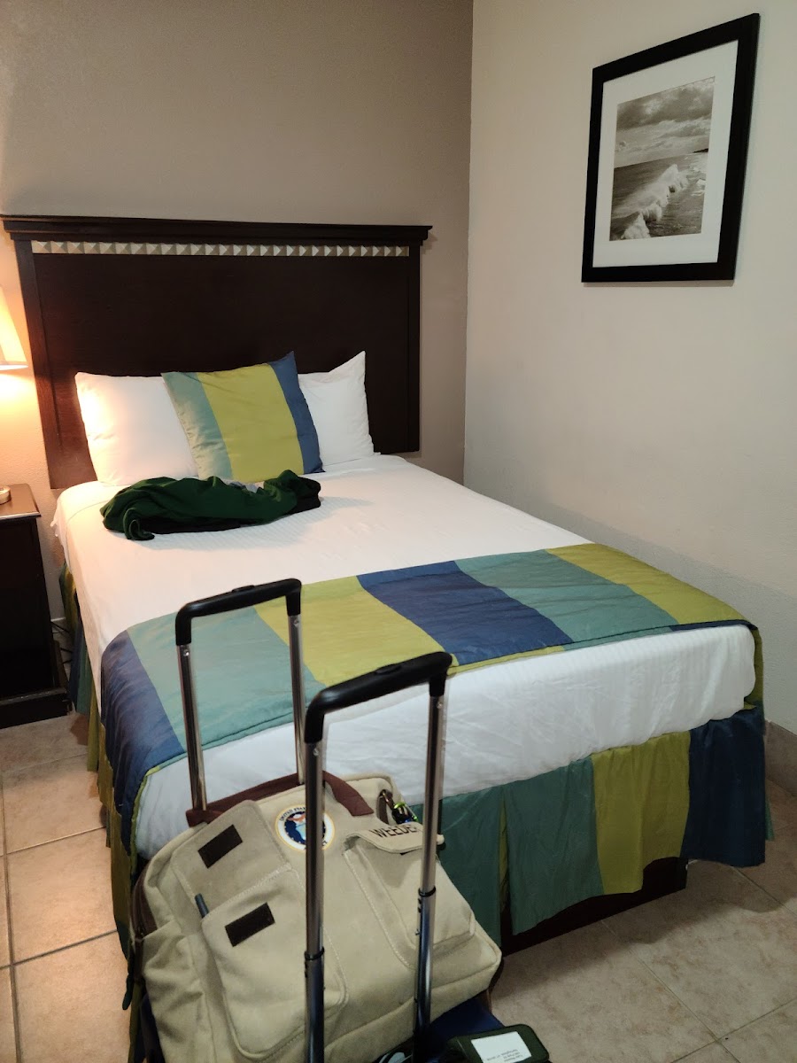 19 Atlantic Hotel photo 2