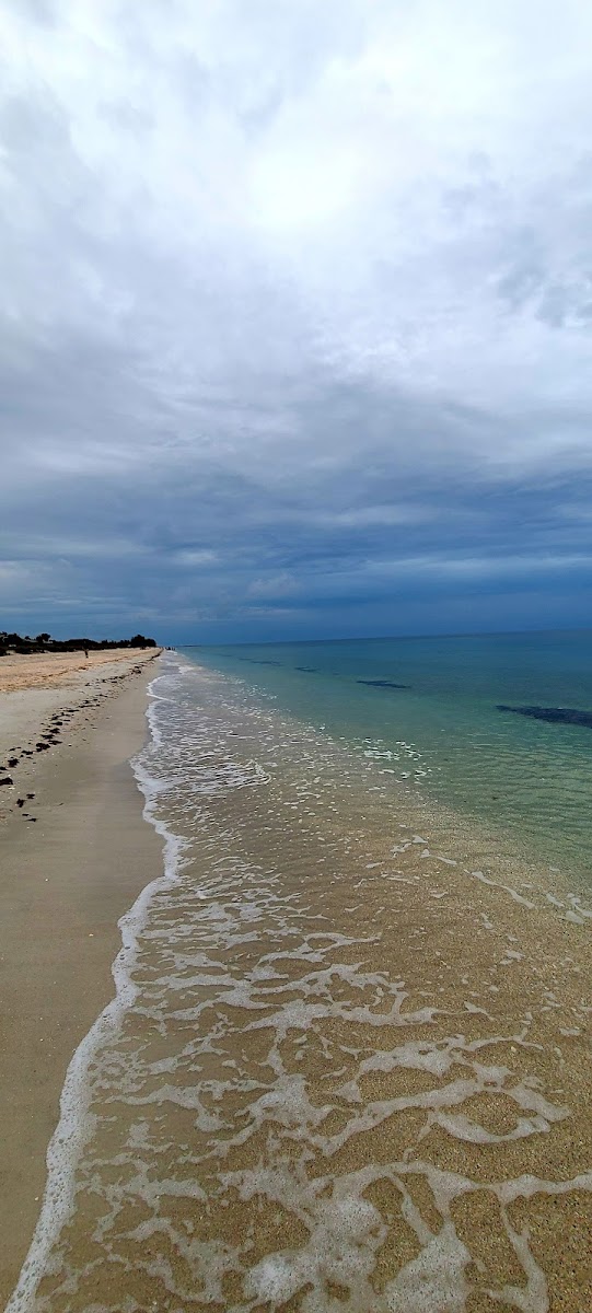 Gulf Sands Beach Resort photo 2