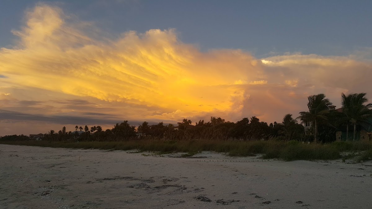 Gulf Sands Beach Resort photo 3