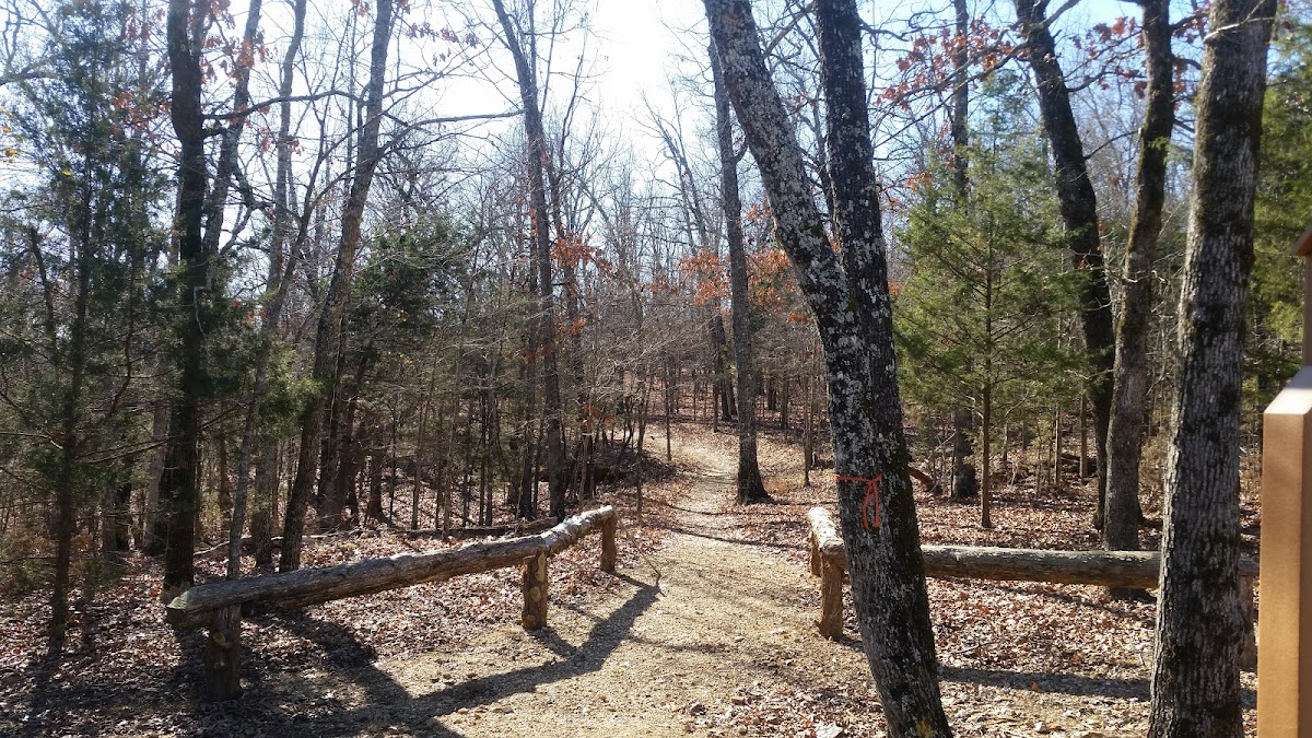 David's Trail Robinson Point Road Intersection #2