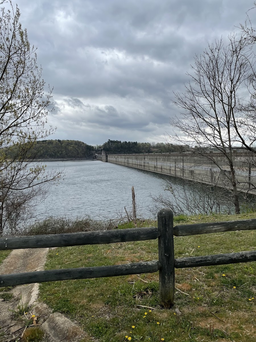 Norfork Tailwater
