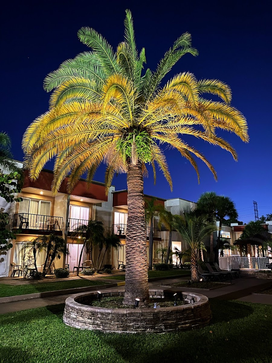 La Quinta Inn by Wyndham Clearwater Central photo 3