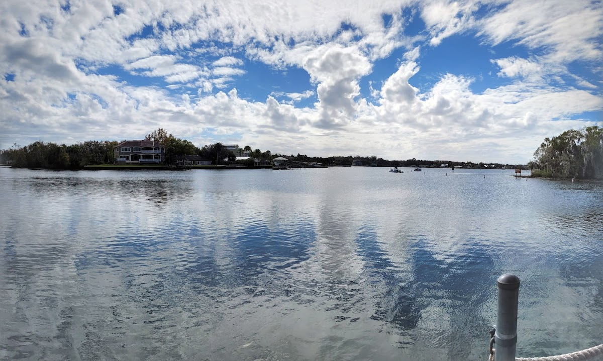 The Port Hotel and Marina photo 2