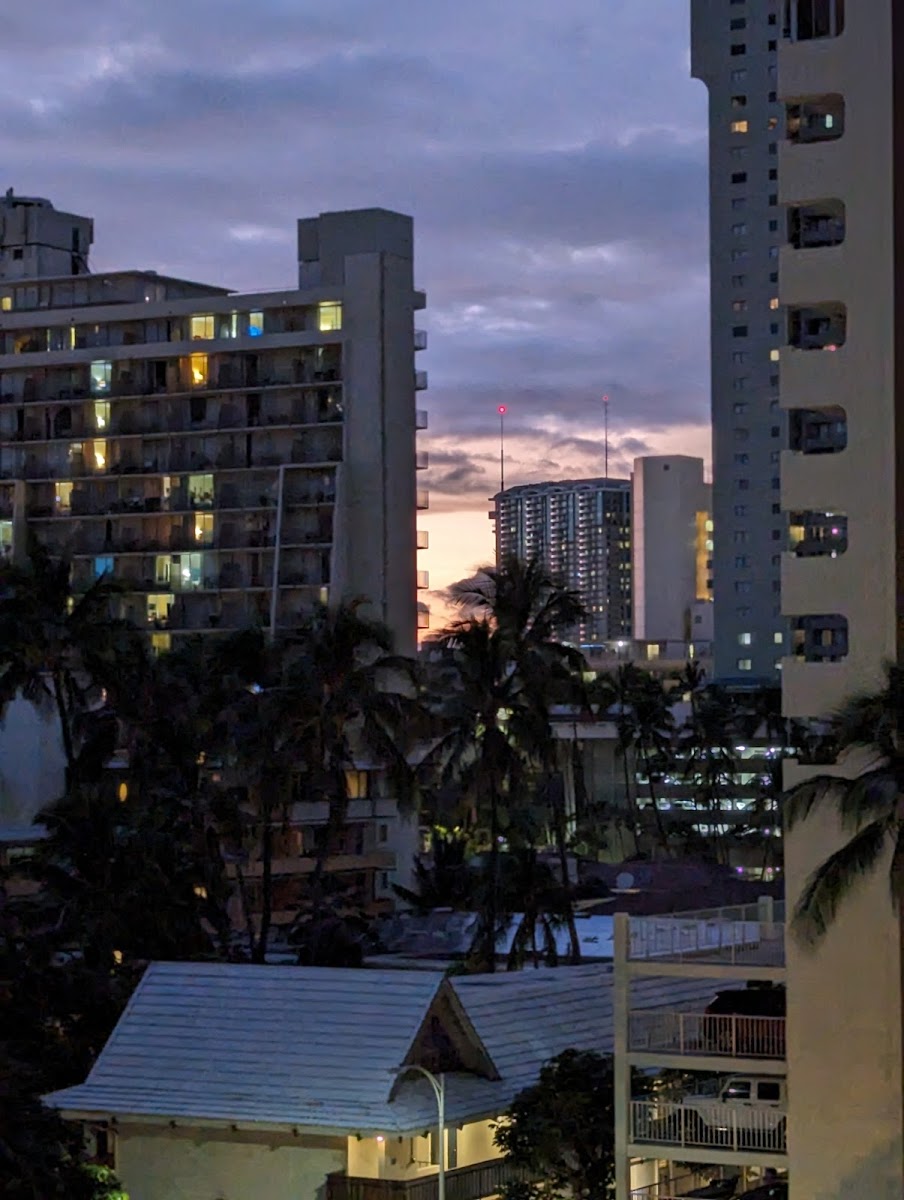 Waikiki Garden Villa photo 2