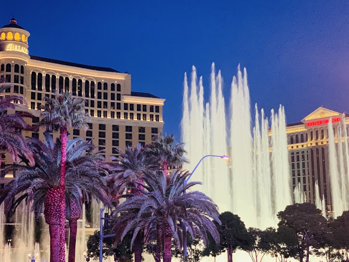 Planet Hollywood Las Vegas Resort & Casino photo 2