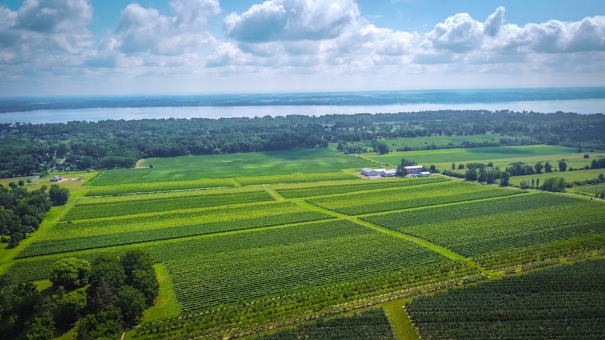 Ravines Wine Cellars