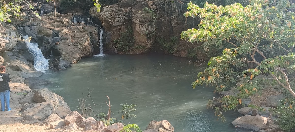 EL CHARCO VERDE