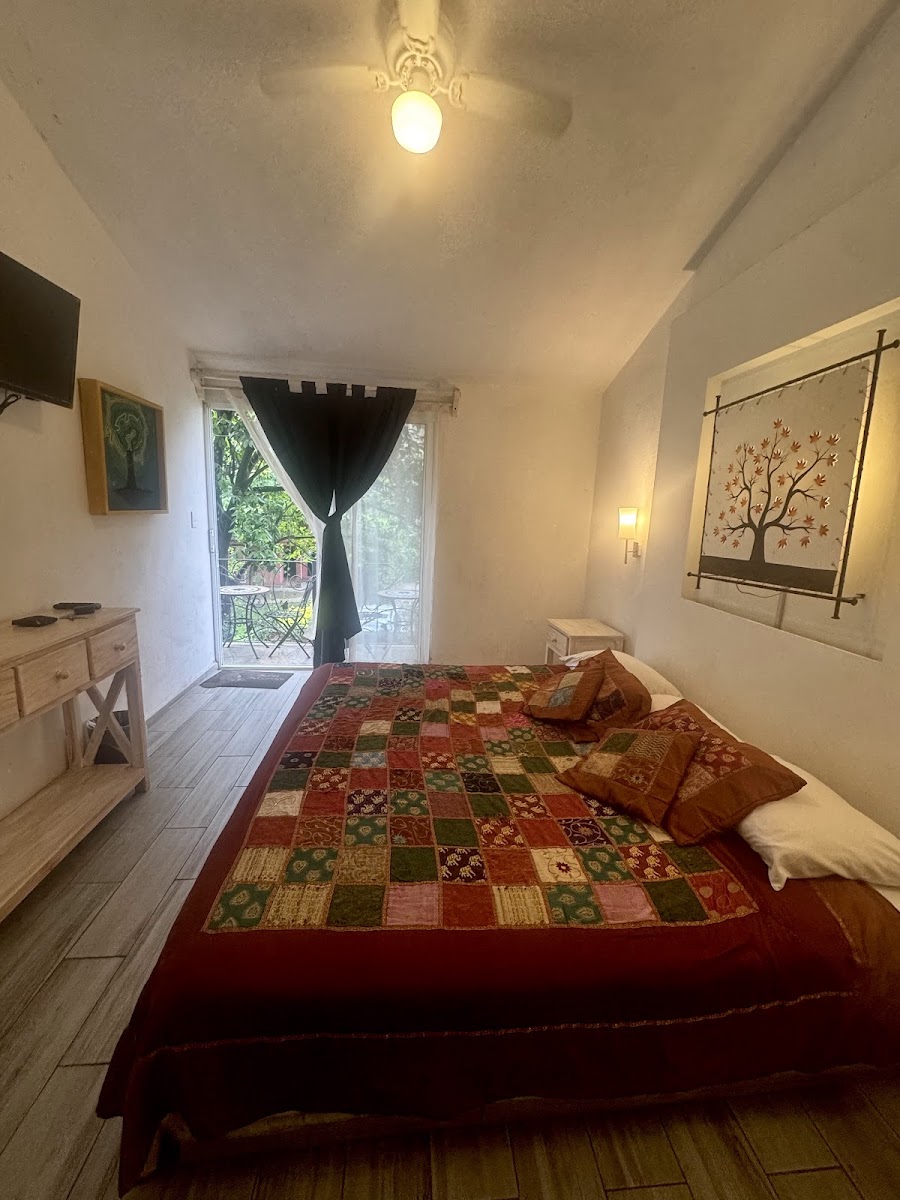 Casa Amor photo 2