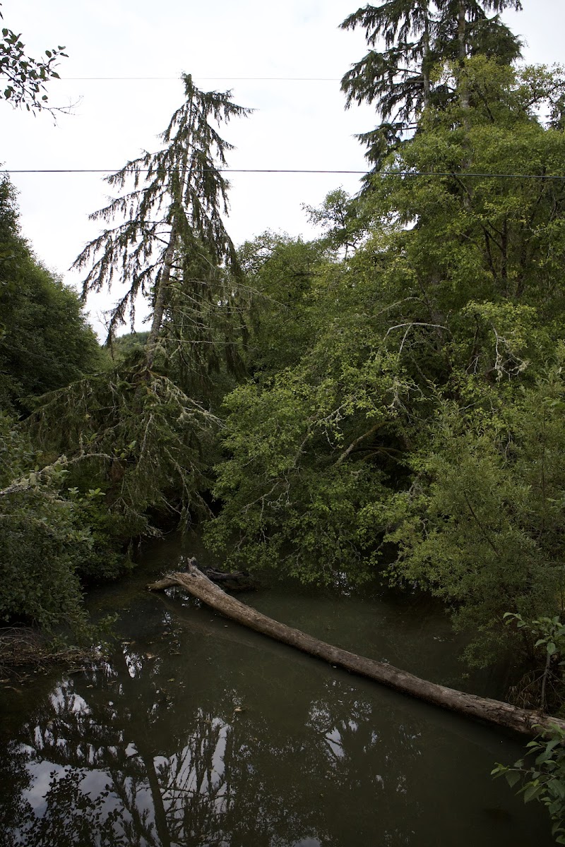 The Inn at Neah Bay photo 2