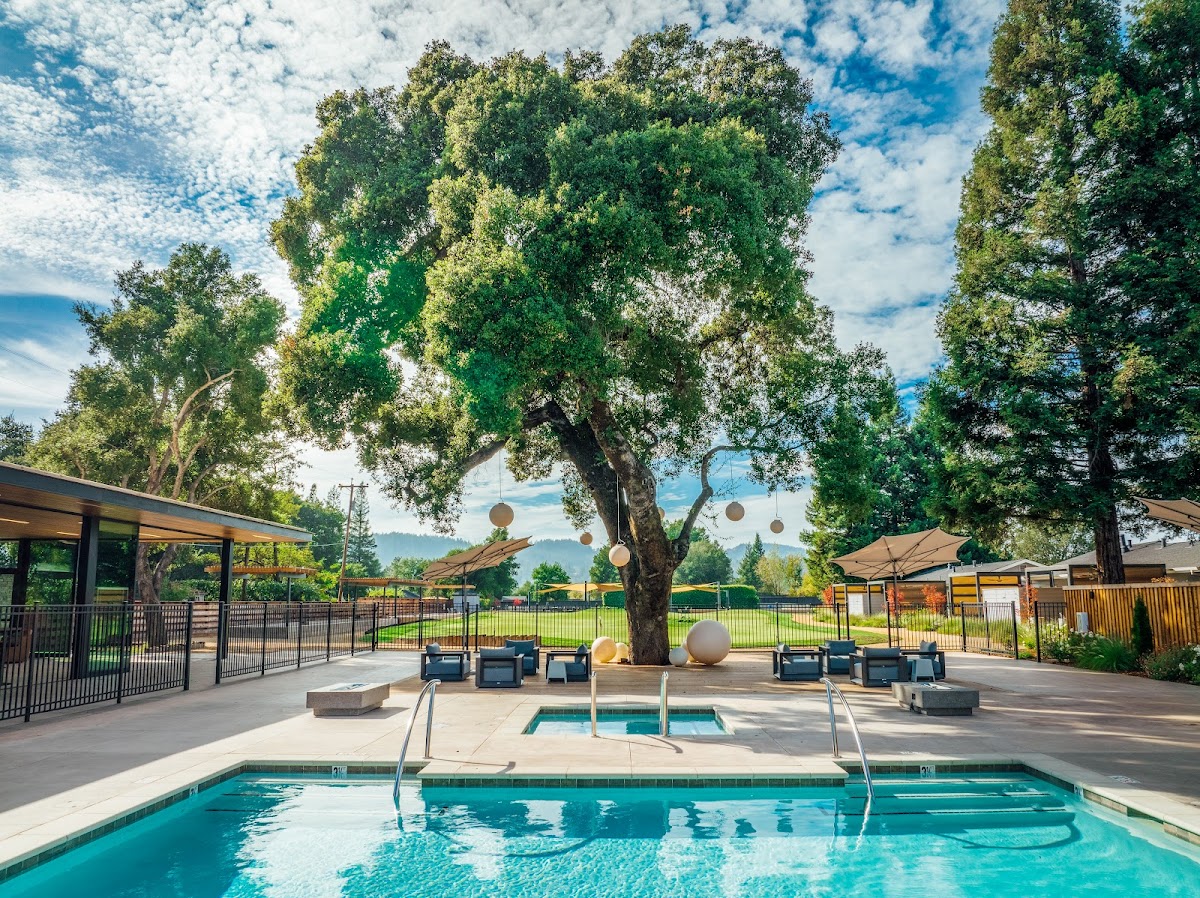 The Ruse Healdsburg photo 3