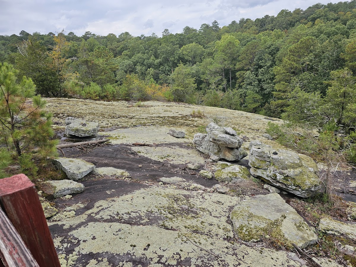 Panola Mountain