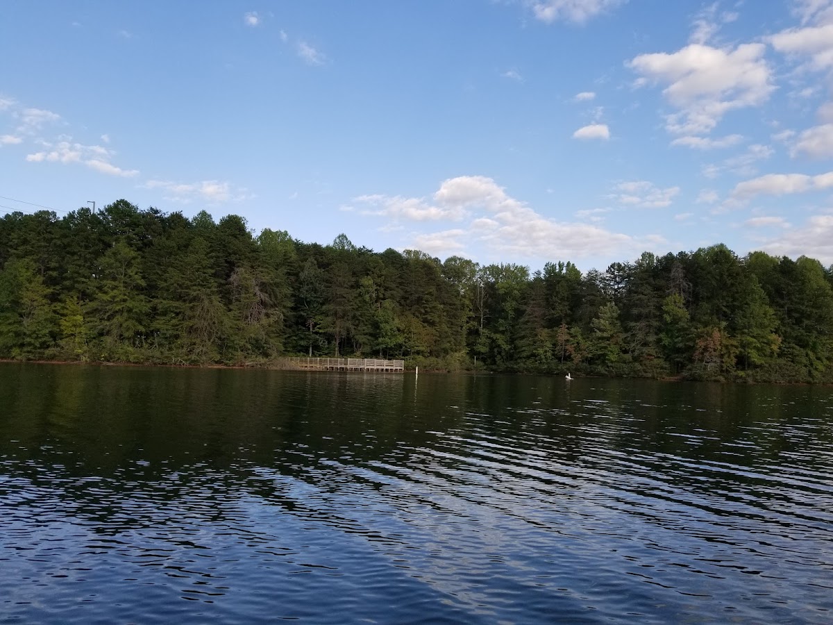 Mayo Lake
