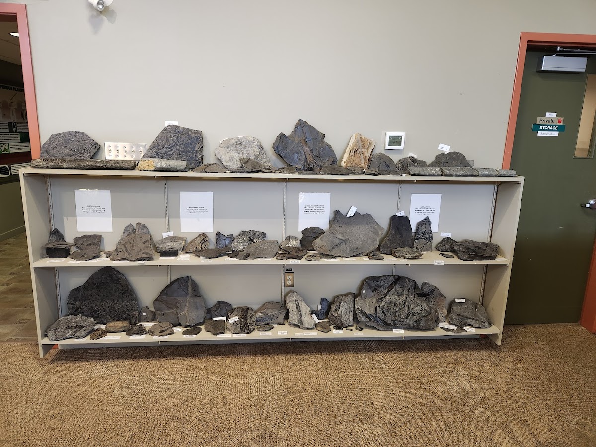 Cape Breton Fossil Centre/Sydney Mines Heritage Museum