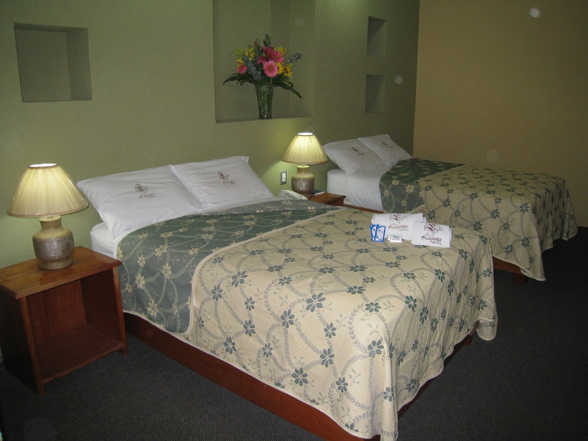Hotel Laguna photo 2