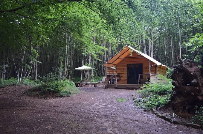 Adhurst Yurts + Adhurst Institute for Artisan and Outdoor Skills