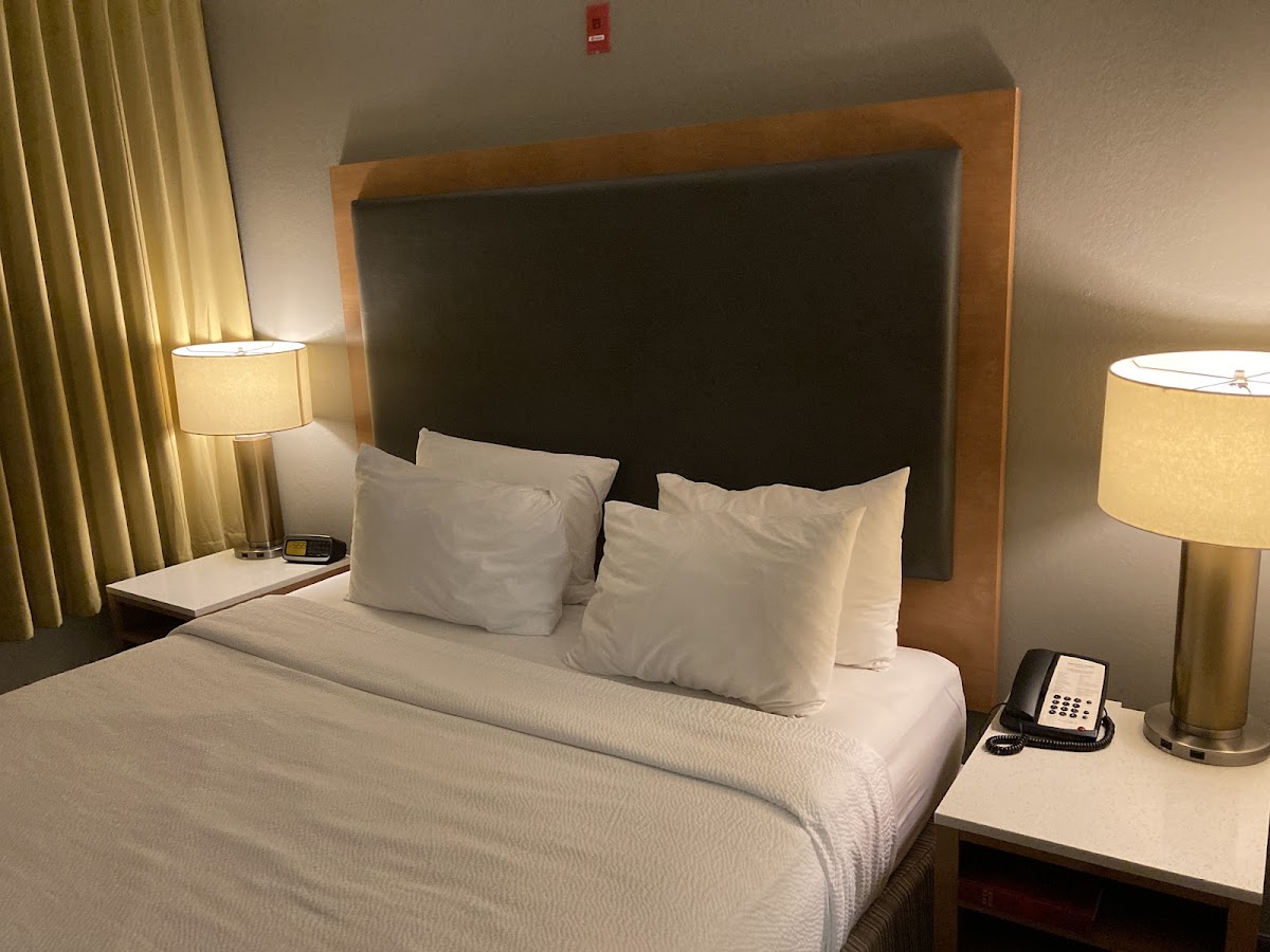 SpringHill Suites by Marriott Phoenix North photo 3