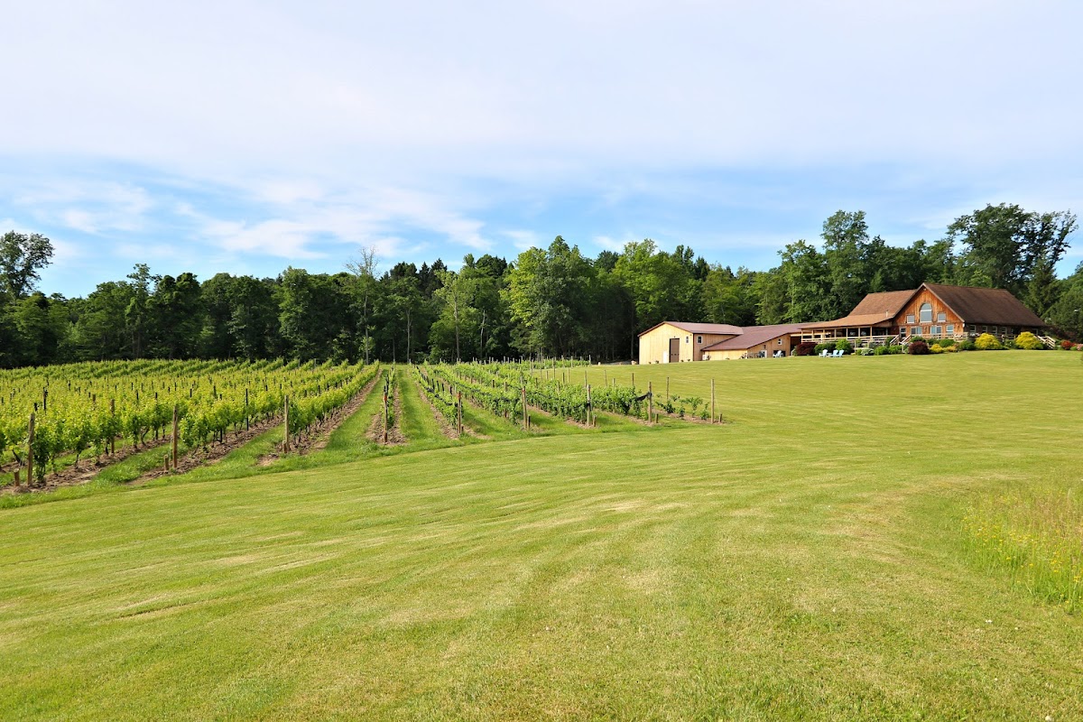 Buttonwood Grove Winery
