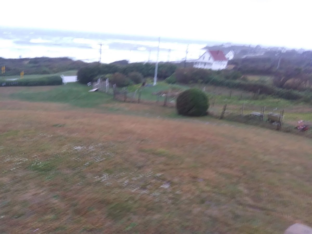 The Inn at Spring House photo 2