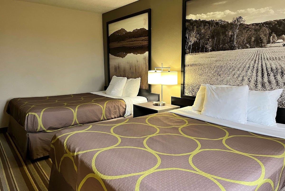 Super 8 by Wyndham Gas City Marion Area photo 2