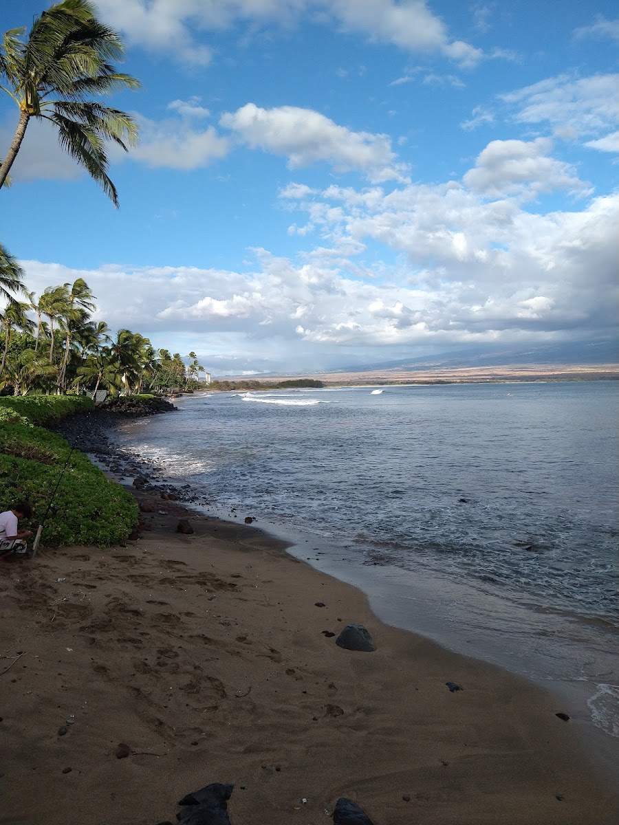 CRH - Island Sands photo 3