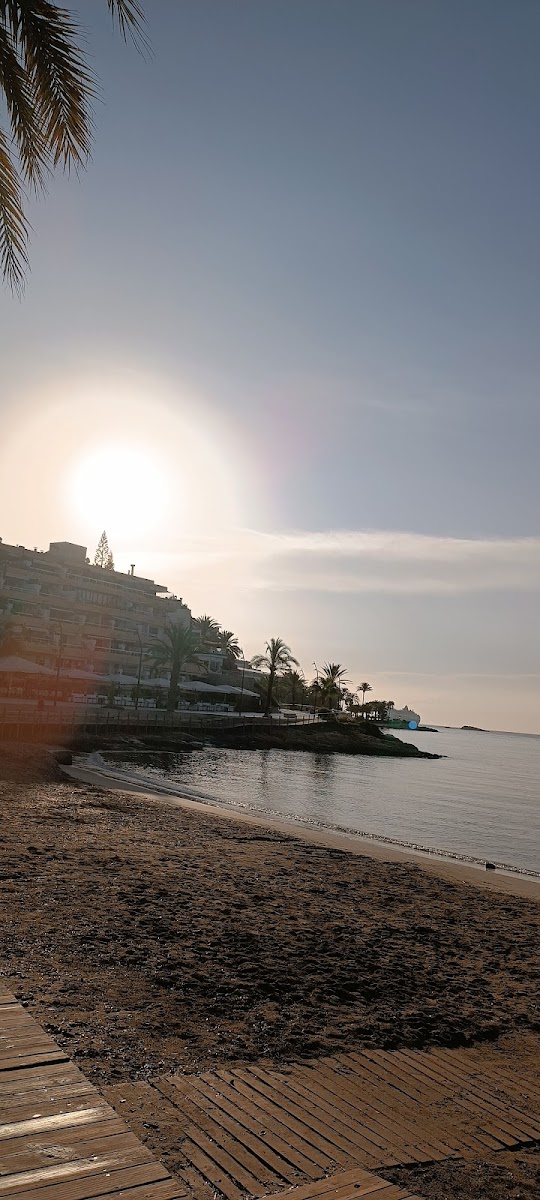 Ibiza photo 3