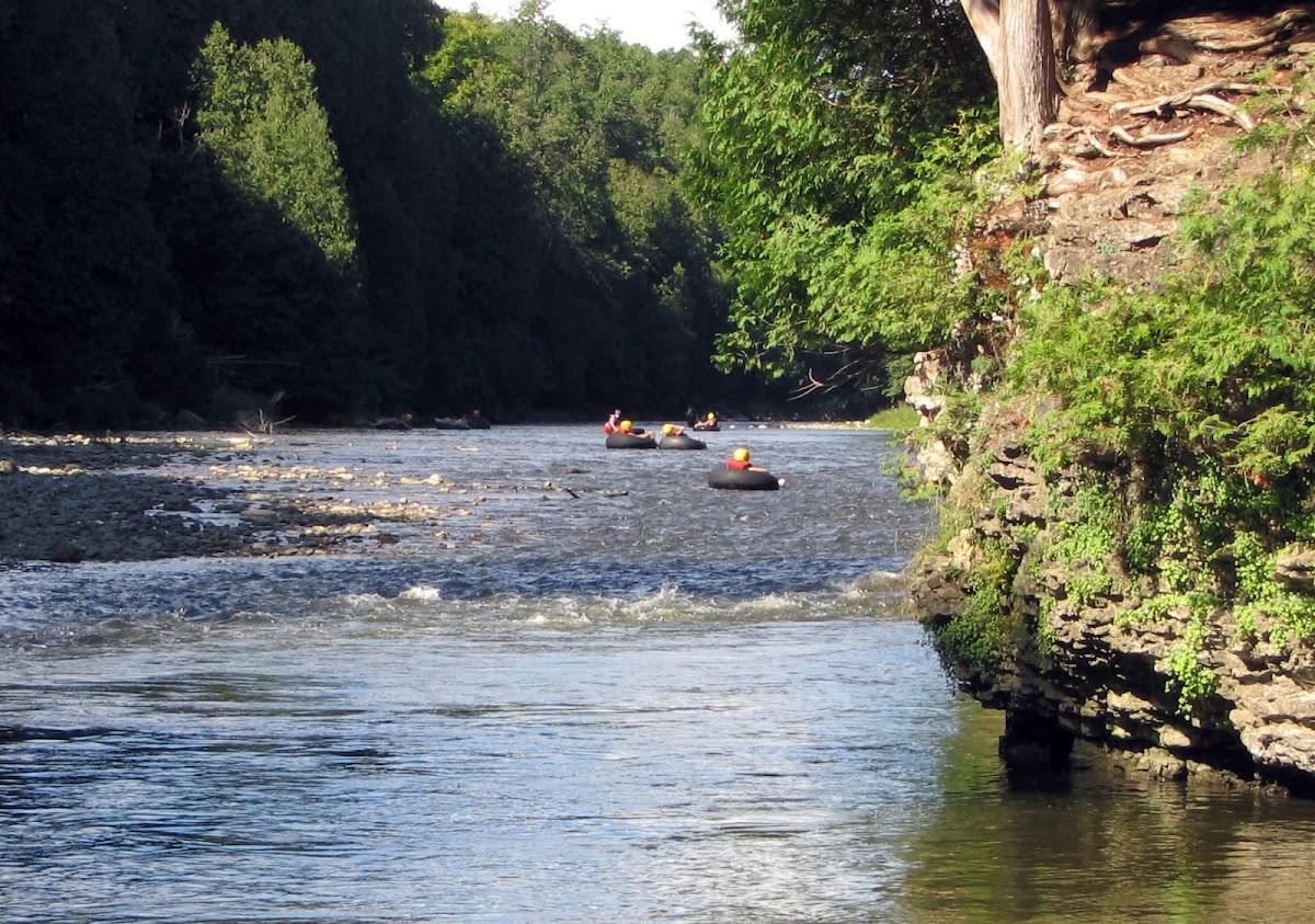 Elora Gorge Conservation Area