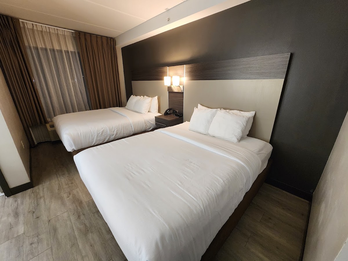 Comfort Suites Northlake photo 2