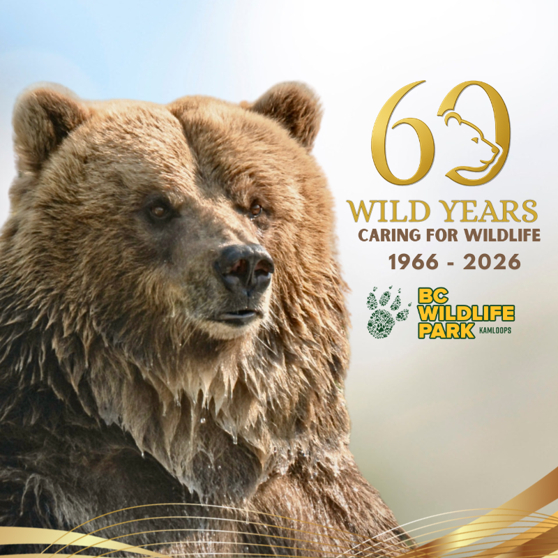 BC Wildlife Park