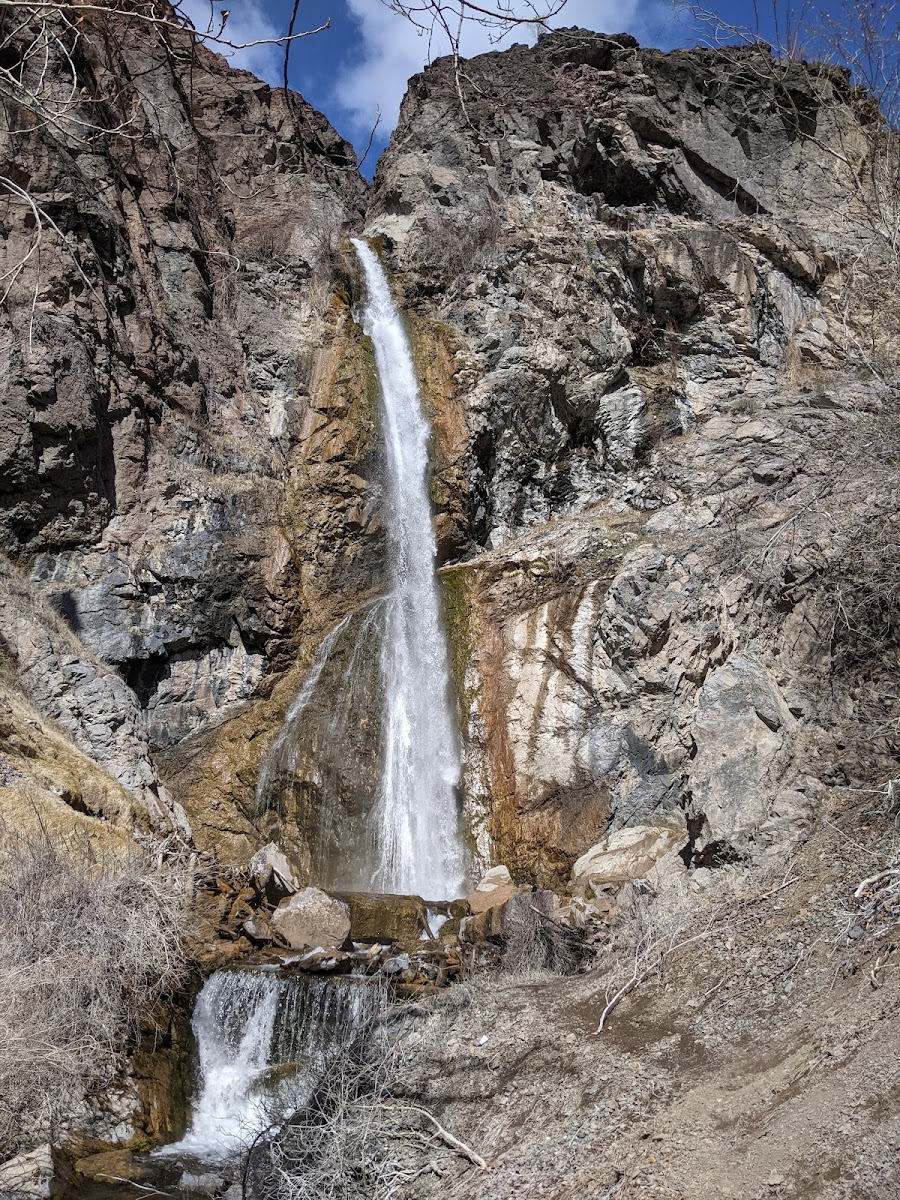 Murray Creek Falls